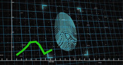 Digital Fingerprint with Graph on Data Interface - Download Free Stock Images Pikwizard.com