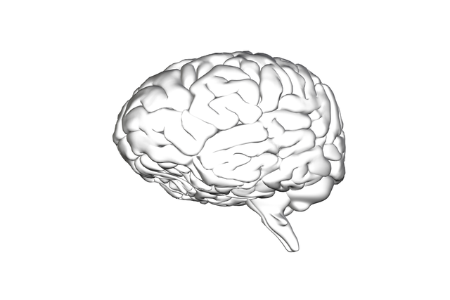 Digital Transparent Brain on Transparent Background for Scientific Illustration - Download Free Stock Videos Pikwizard.com