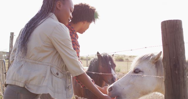 Two African American women interacting with horses in a serene rural pasture under a bright sunny sky. Ideal for themes on rural lifestyle, animal care, outdoor activities, and connection with nature.