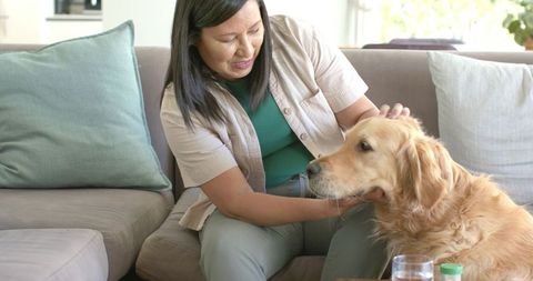 Asian woman bonding with golden retriever on cozy living room sofa during daylight