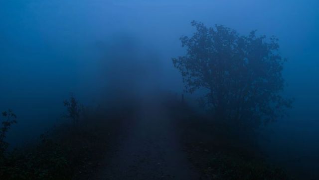 Misty rural path disappearing into blue twilight with lone tree silhouette