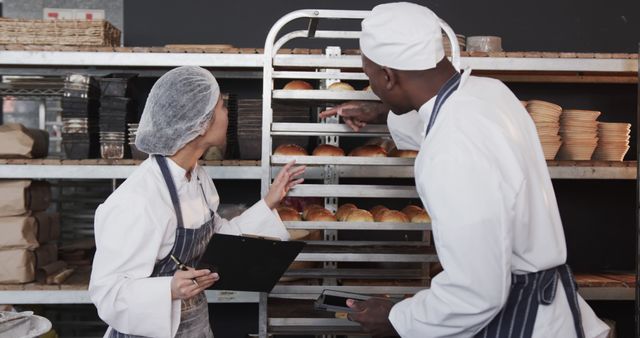 Team of Bakers Inspecting Freshly Baked Bread in Industrial Kitchen - Download Free Stock Images Pikwizard.com