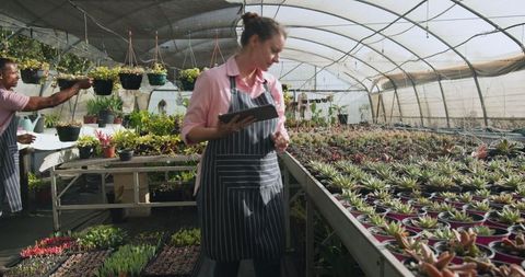 Co-workers Managing Plants in Greenhouse Environment