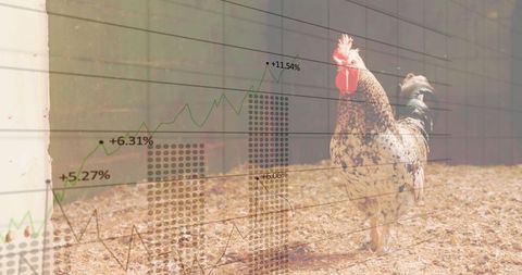 Rural Investment ROI with Rooster and Stock Growth Chart Overlay