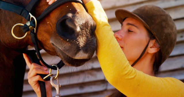 Female Equestrian Caring for Horse - Download Free Stock Images Pikwizard.com
