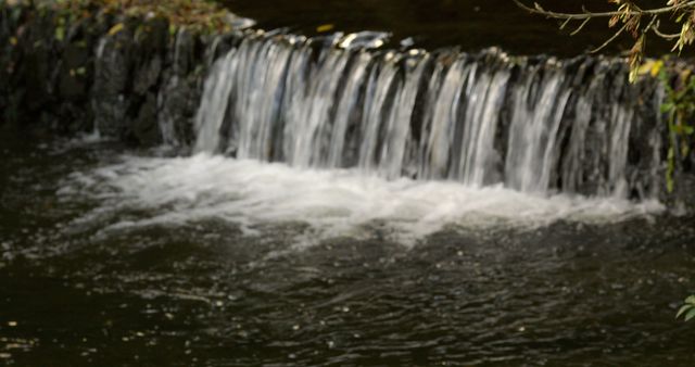 Water flowing down a waterfall into a pool in a forest - Download Free Stock Photos Pikwizard.com