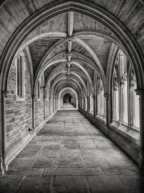 Stunning black and white photograph of a Gothic cloister with arched ceilings and stone pillars. The corridor's vanishing point creates an impressive perspective and symmetry, evoking a sense of medieval architecture and historical elegance. Perfect for use in projects related to historic sites, architectural studies, travel guides, and heritage preservation campaigns.