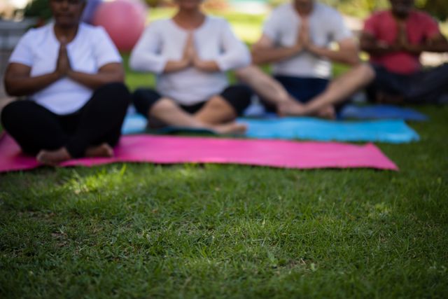 Senior individuals sitting on exercise mats in a park, practicing meditation and mindfulness. Ideal for use in content related to senior fitness, group wellness activities, outdoor exercise, and promoting a healthy lifestyle among older adults.