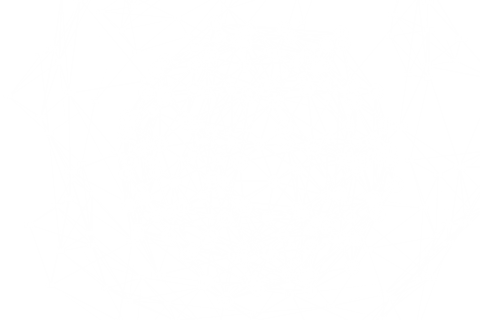 Network of Connections on Transparent Background - Download Free Stock Videos Pikwizard.com