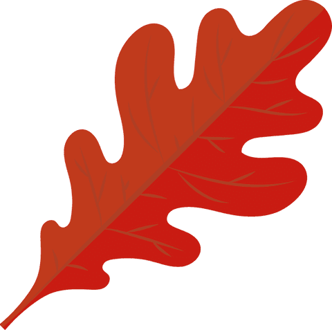 vector red oak leaf floating on transparent background - Download Free Stock Videos Pikwizard.com