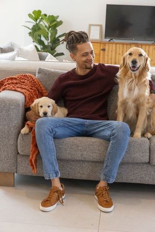 Man relaxing on couch with golden retriever and puppy in cozy modern living room