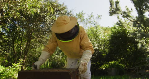Beekeeper Inspecting Honeycomb in Lush Garden