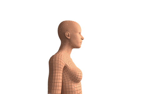 Transparent Silhouette of Digital Woman's High Section - Download Free Stock Videos Pikwizard.com