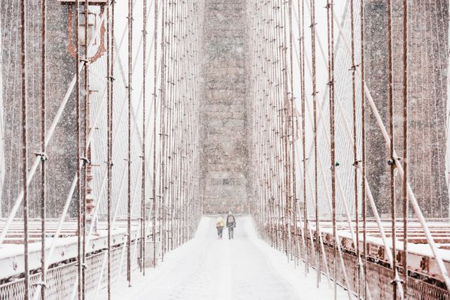 Snowstorm Painting Brooklyn Bridge White in Winter Wonderland - Download Free Stock Photos Pikwizard.com