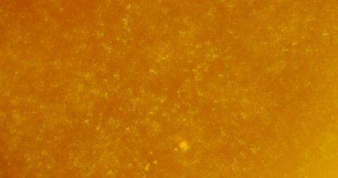 Close-Up of Beer with Moving Bubbles in Golden Hue - Download Free Stock Images Pikwizard.com