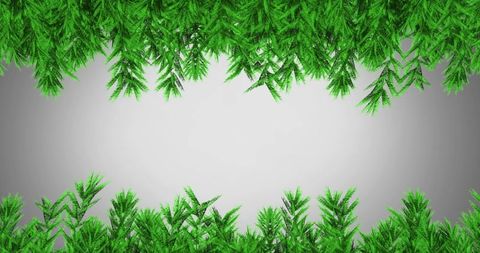 Green pine branches frame on grey background for festive season