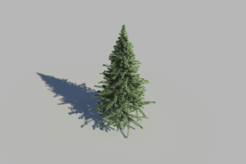 fir tree illustration isolated on transparent background for christmas designs - Download Free Stock Videos Pikwizard.com