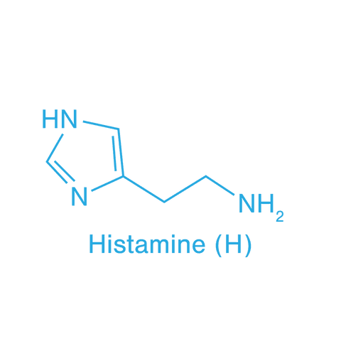 transparent chemical structure of histamine molecule diagram - Download Free Stock Videos Pikwizard.com