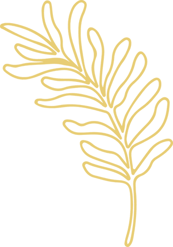 Golden botanical frond on transparent background in line art style