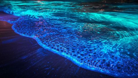 Bioluminescent waves glowing along night beach with iridescent foam and phosphorescent ripples