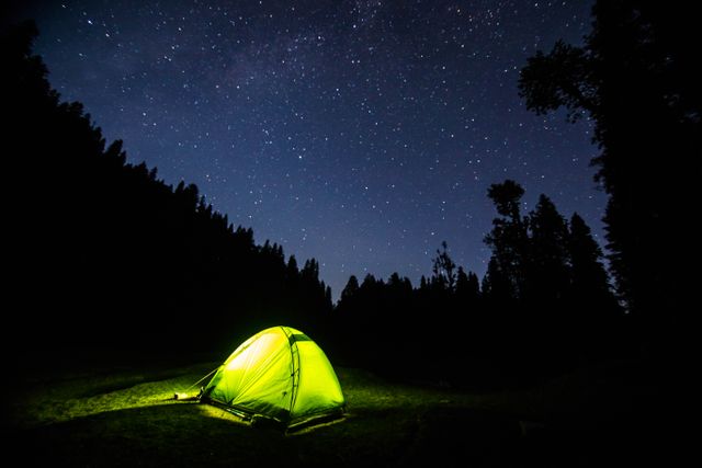 Glowing Tent under Starry Night Sky in Forest - Download Free Stock Photos Pikwizard.com