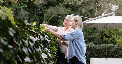 Mother and Adult Daughter Trimming Hedge Together in Backyard
