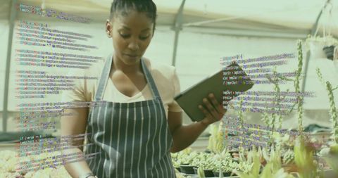 Modern Gardener Inspecting Plants in Urban Greenhouse