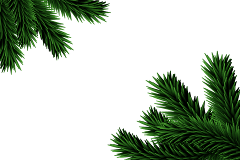 christmas pine branches on transparent png background isolated design - Download Free Stock Videos Pikwizard.com
