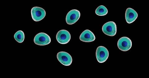 Turquoise and Blue Cells on Black Background Conceptual Design - Download Free Stock Images Pikwizard.com