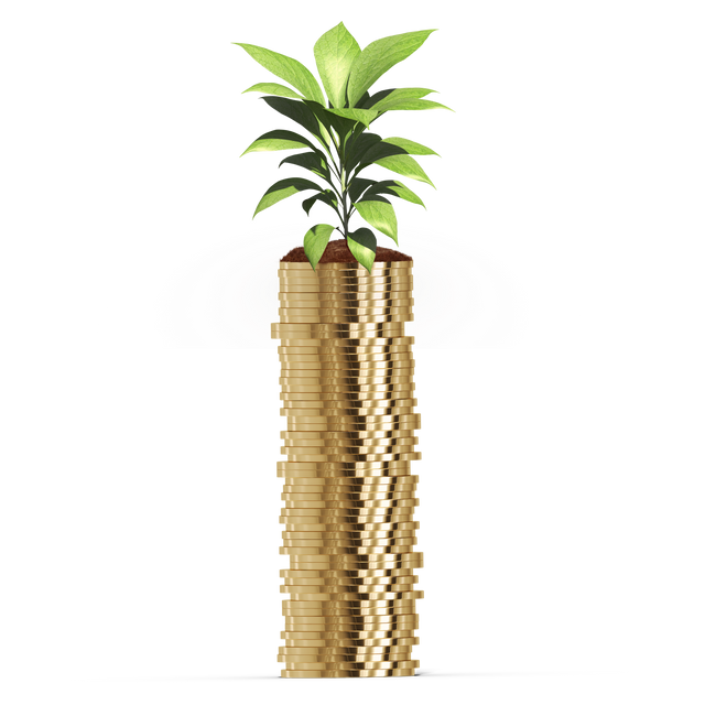 Coins with Plant Grows on Top Illustration on Transparent Background - Download Free Stock Videos Pikwizard.com