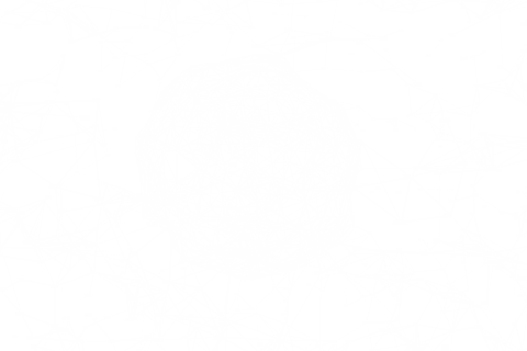 Digital Network and Connections Illustration on Transparent Background - Download Free Stock Videos Pikwizard.com