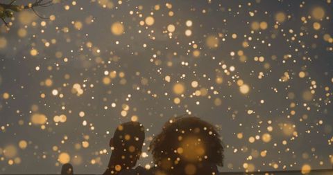 Silhouetted couple watching golden particles at twilight