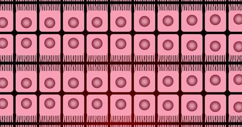 Geometric Cellular Patterns in Vibrant Pink - Download Free Stock Images Pikwizard.com