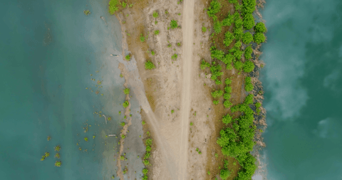 aerial transparent view of lake and lush trees - Download Free Stock Videos Pikwizard.com