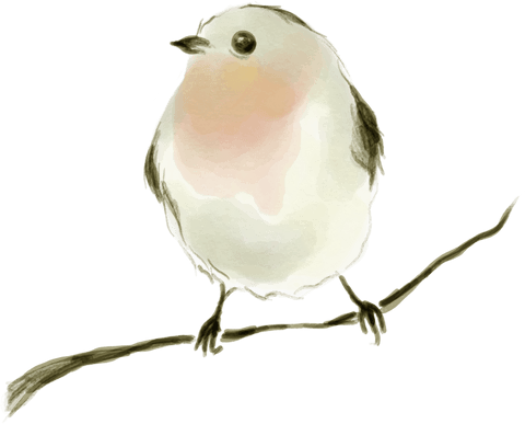 watercolor bird perched on branch with transparent background - Download Free Stock Videos Pikwizard.com