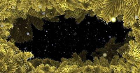 Pine Branches Framing Night Sky with Snowflakes Falling