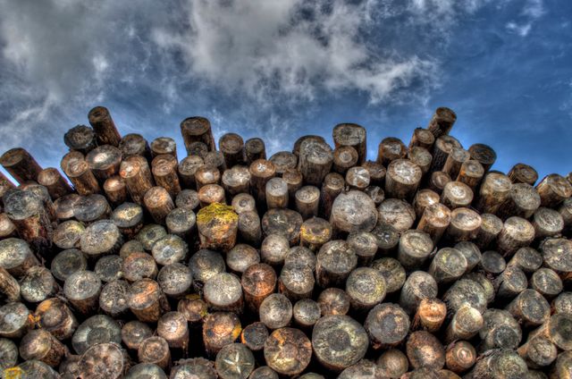 Timber Logs Stacked Under Blue Sky - Download Free Stock Photos Pikwizard.com