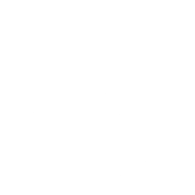 Outline of White Rabbit on Transparent Background, Isolated Vector - Download Free Stock Videos Pikwizard.com