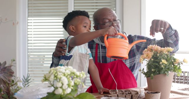 African american grandfather and grandson watering plants on sunny terrace. Lifestyle, childhood, free time, family, togetherness, organic nature, gardening and domestic life, unaltered.