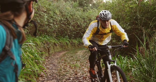 Mountain Bikers Riding Through Forest Trail - Download Free Stock Images Pikwizard.com