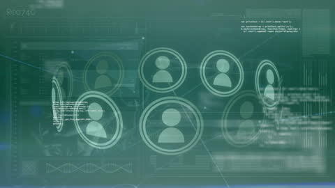 Digital Network of User Profiles and Data Processing