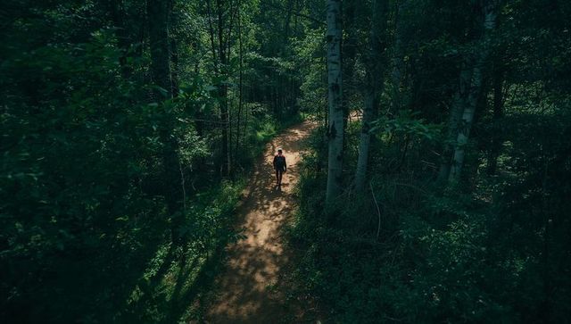 Solo Adventurer Hiking Tree-Shaded Forest Path with Backpack