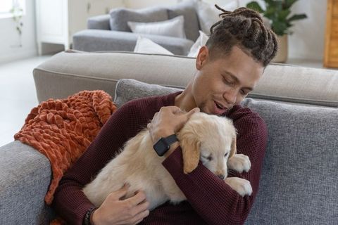 Young man cuddling golden retriever puppy on cozy living room sofa