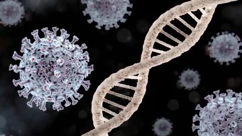 Simulated Coronavirus Molecules with Twisting DNA Helix