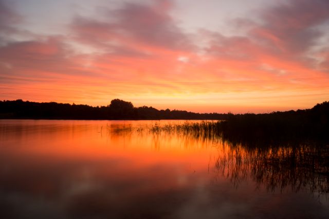 Depicts a beautiful peaceful sunset over a tranquil lake with calm, reflective water. The sky is glowing with vibrant orange hues, and some reeds are visible in the foreground. Perfect for uses in travel blogs, environmental websites, relaxation and meditation guides, nature calendars, desktop wallpapers, or advertisements that highlight serenity and natural beauty.
