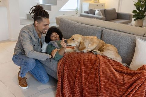 Couple relaxing on sofa feeding golden retriever under cozy rust throw