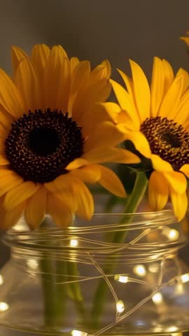 Vertical video panning sunflowers in mason jar with glowing fairy lights and warm bokeh