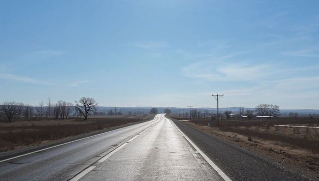 Sunlit rural highway stretching toward horizon through flat fields with power poles