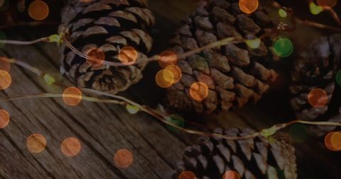 Festive Pine Cones with Warm Glowing Christmas Lights - Download Free Stock Images Pikwizard.com