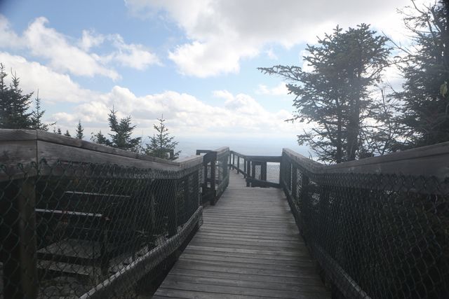 Wooden Walkway in Mountain Overlook Surrounded by Pine Trees - Download Free Stock Photos Pikwizard.com